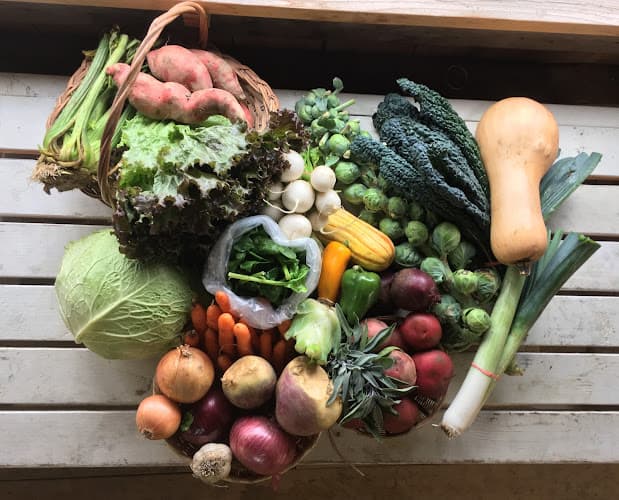 Common Thread CSA