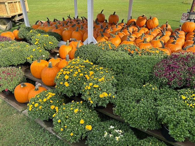 Harcum Farm Market