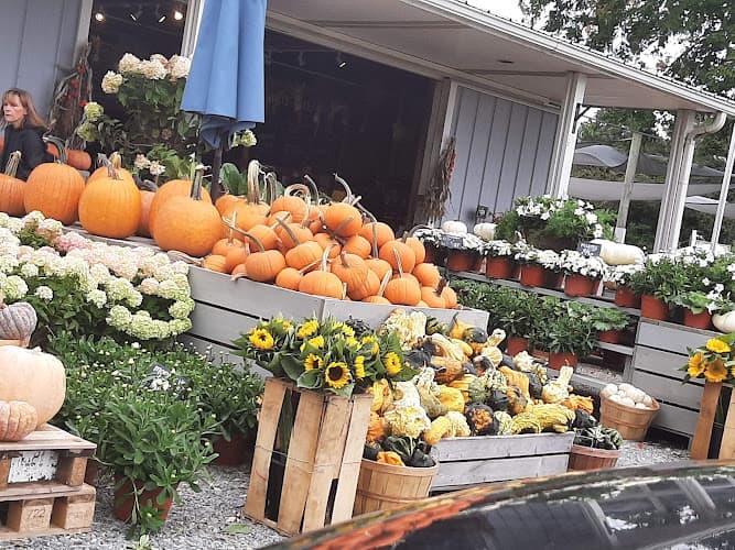Andrews Family Farm