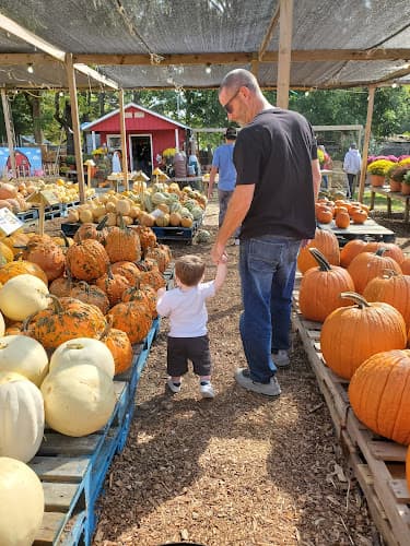 Needmore Farms