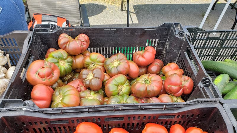 The Market at Bissel Gardens