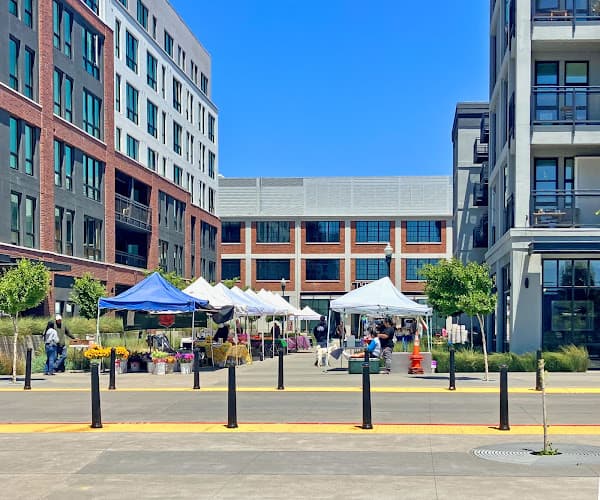 The Emery Weekly Farmers Market