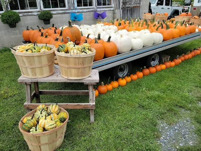Soil & Soul Farm Market