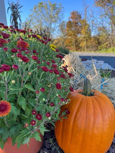 Lyon creek farm