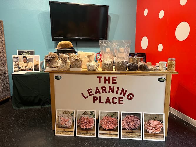 MushyLove Mushroom Store & Learning Place