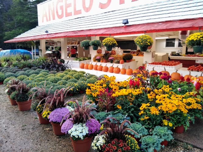 Angelo's Farm Market