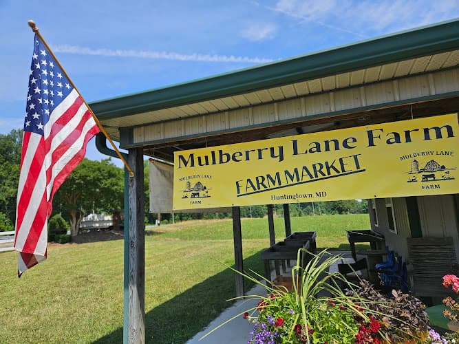 Mulberry Lane Farm Market