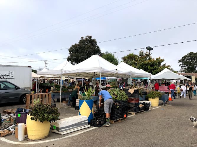 Live Oak Farmer's Market