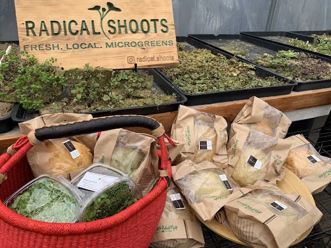Radical Shoots Microgreens