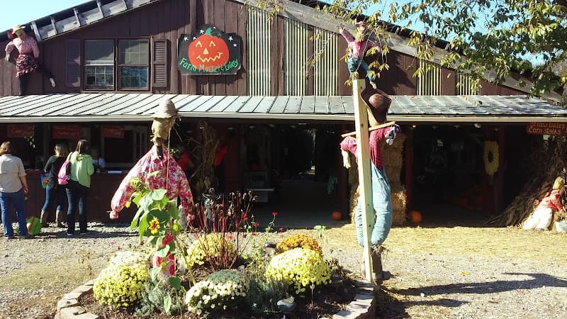 Belmont Pumpkin Farm