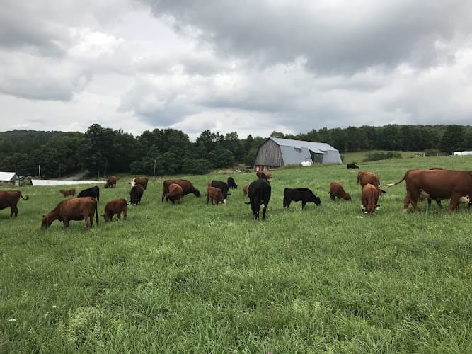 Drover Hill Farm