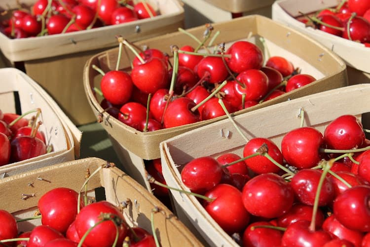 Historic Newburgh Farmers Market
