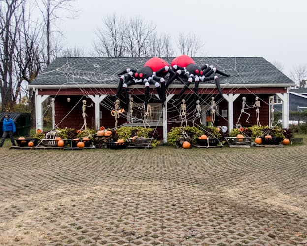 Honeycomb Creek Farm
