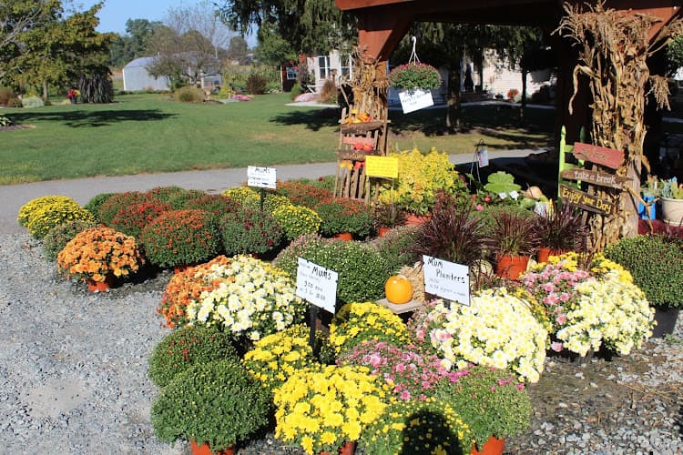 Riverview Roadside Stand