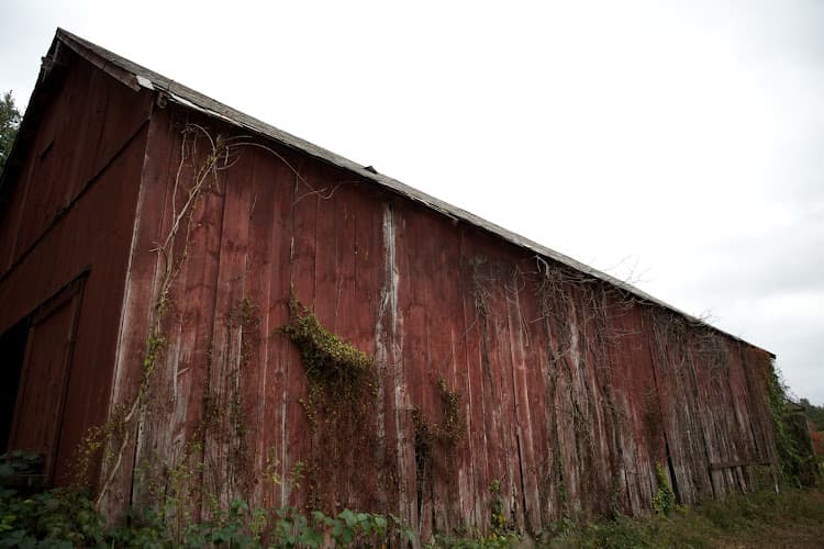 Haber's Farm Stand
