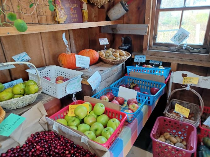 Lake Farm Gardens