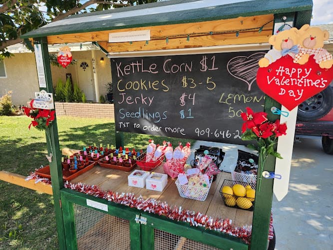 Sunset Sanctuary Farmstand