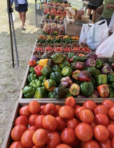 The Waukazoo Market