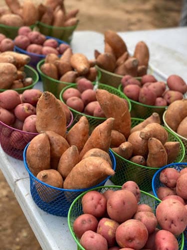 St. Helena Farmers Market