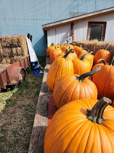 Scio Valley Farm