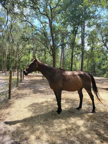 River Bend Ranch Florida
