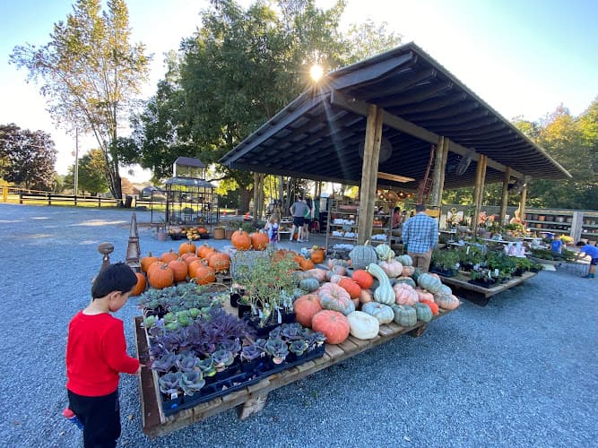 Holl & Stone Farms
