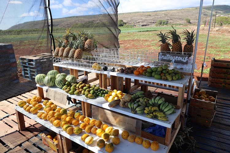 Fresh Fruit Stand
