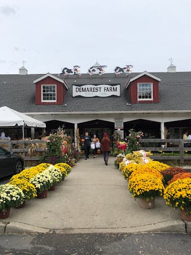 Demarest Farms