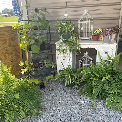 Rowan Fields LLC (Farm and Farmers Market)