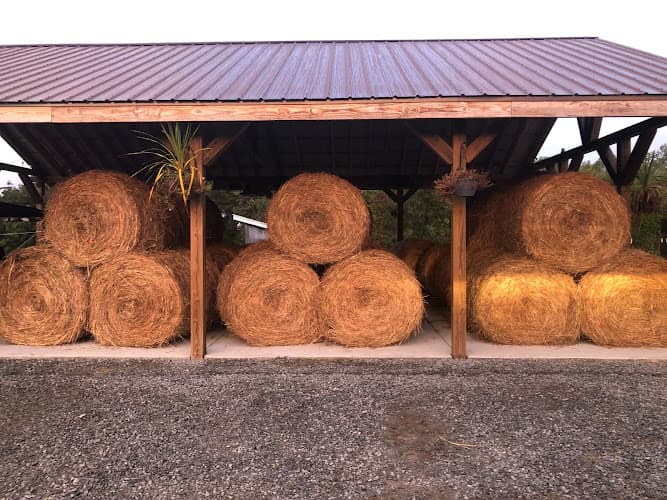 The Beaverdam Farm