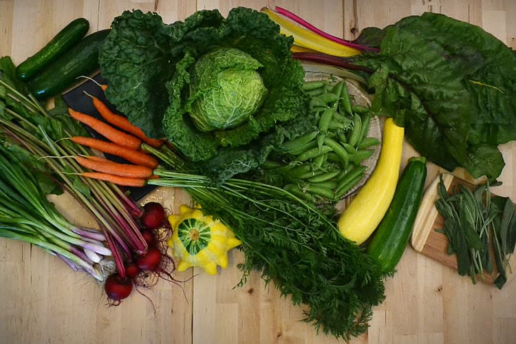 Roots Down Community Farm, LLC
