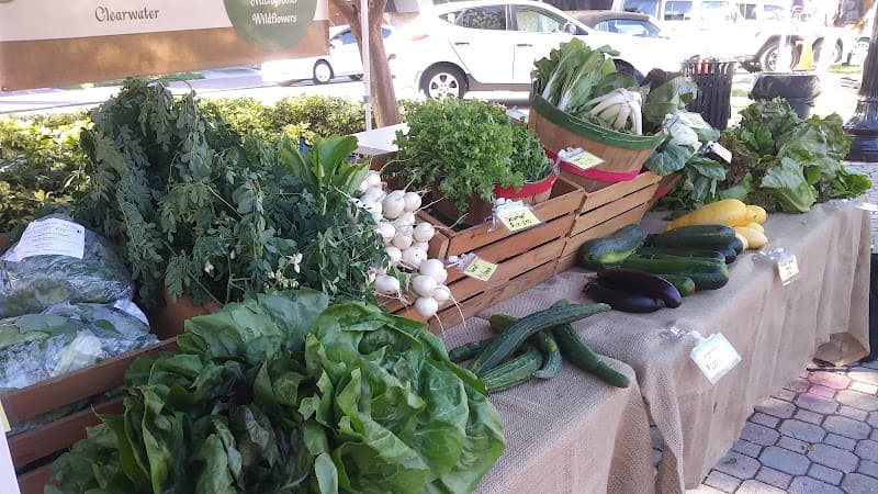 Life Farms