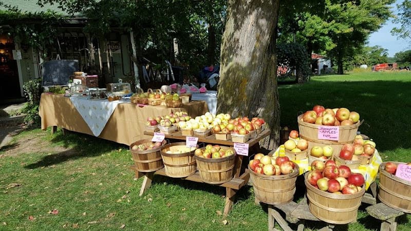 Farm to Family - Roadside Fruit and veggie stand