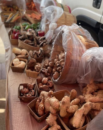 Downtown Cleburne Farmers Market