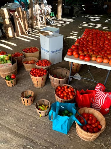 Pensyl's Produce at Fellencer Farm