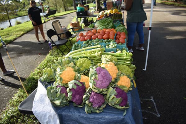 Jupiter Town Green Market