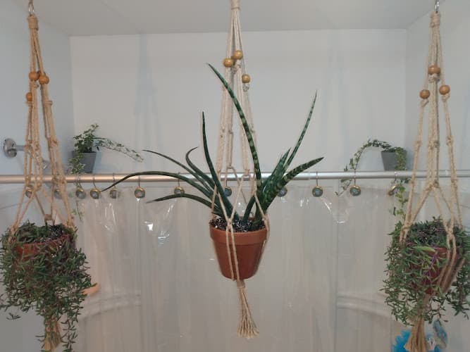 Parran's Greenhouse & Farm Market - Monroe