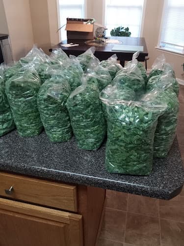 Hayes brother produce