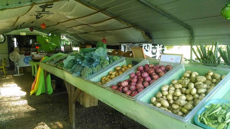 Geraldine's Peaches and Produce Roadside Market