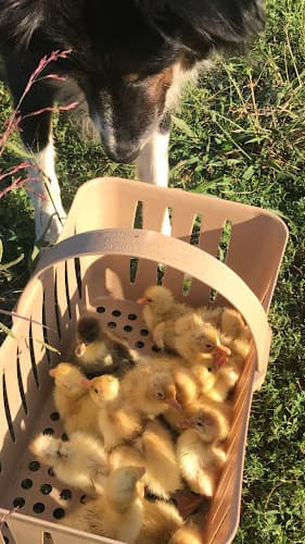 Pure Pasture Farms at Richland Park