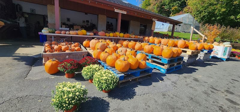 Baldwin Place Farm