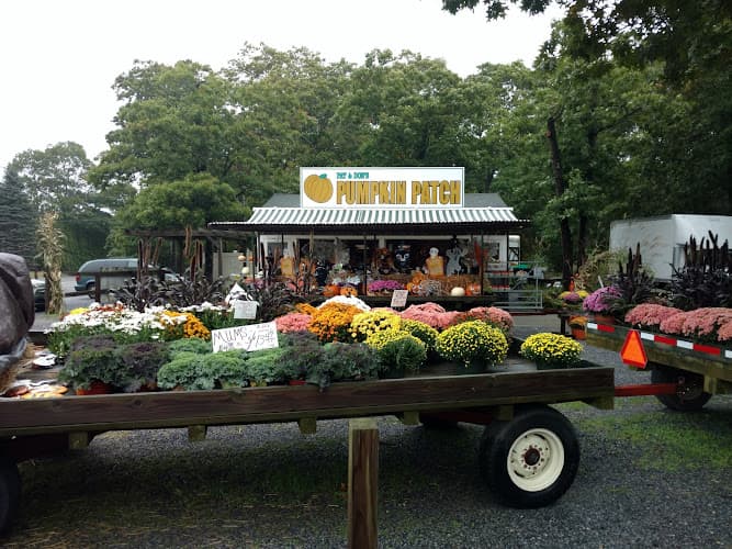 Pumpkin Patch Farm Stand