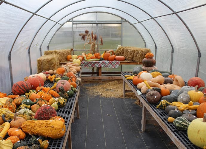 Shady View Farm Stand & Greenhouse