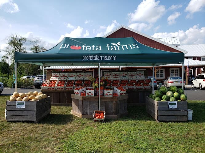 Vacchiano Farm
