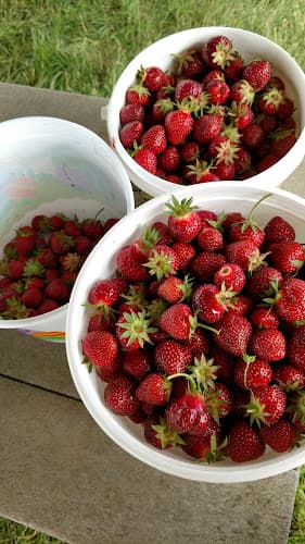 Glade Link Farms