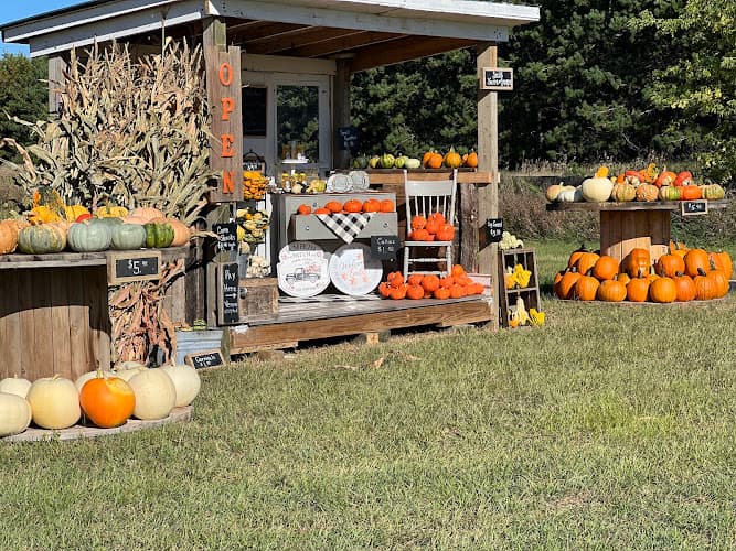 Owl Valley Farm
