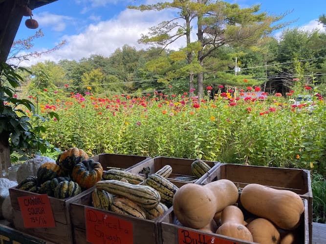 Indian Creek Farm