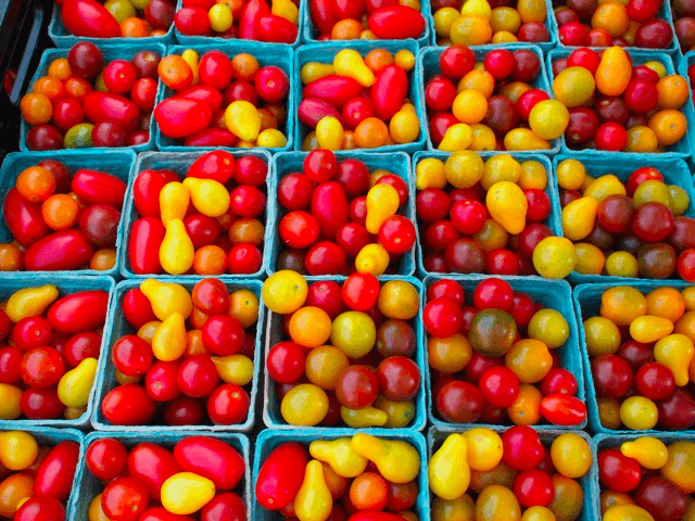 Rooted Market