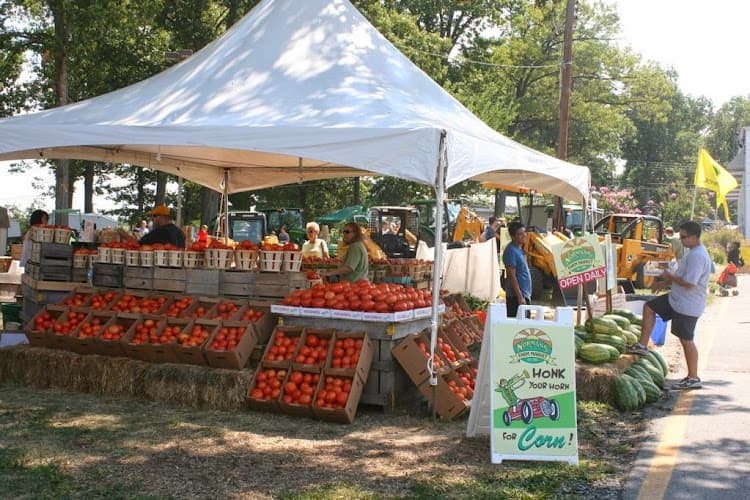 Norman's Farm Market-Jones Mill Stand