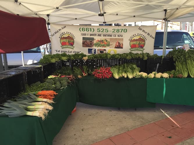Newport Beach Farmers' Market